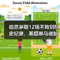 伯恩茅斯12场不败创队史纪录,英超黑马崛起之路(图3) 伯恩茅斯12场不败创队史纪录,英超黑马崛起之路(图3)
