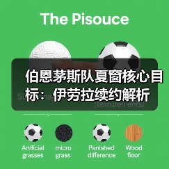 伯恩茅斯队夏窗核心目标:伊劳拉续约解析(图2) 伯恩茅斯队夏窗核心目标:伊劳拉续约解析(图2)