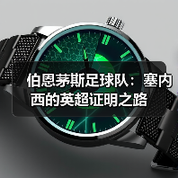 伯恩茅斯足球队:塞内西的英超证明之路(图4) 伯恩茅斯足球队:塞内西的英超证明之路(图4)