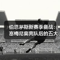 伯恩茅斯新赛季备战:塞梅尼奥离队后的五大引援目标(图2) 伯恩茅斯新赛季备战:塞梅尼奥离队后的五大引援目标(图2)