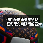 伯恩茅斯新赛季备战：塞梅尼奥离队后的五大引援方向（图4）