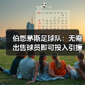 伯恩茅斯足球队:无需出售球员即可投入引援的秘密(图4) 伯恩茅斯足球队:无需出售球员即可投入引援的秘密(图4)