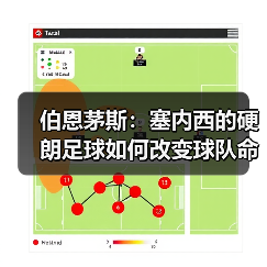 伯恩茅斯：塞内西的硬朗足球如何改变球队命运（图3）