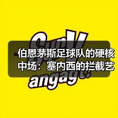 伯恩茅斯足球队的硬核中场:塞内西的拦截艺术(图2) 伯恩茅斯足球队的硬核中场:塞内西的拦截艺术(图2)