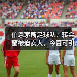 伯恩茅斯足球队：转会窗被迫卖人，今夏可引援的机遇与挑战（图4）