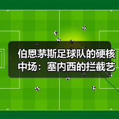 伯恩茅斯足球队的硬核中场:塞内西的拦截艺术(图4) 伯恩茅斯足球队的硬核中场:塞内西的拦截艺术(图4)