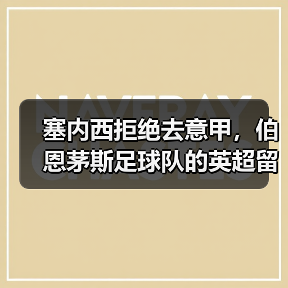 塞内西拒绝去意甲,伯恩茅斯足球队的英超留人战(图3) 塞内西拒绝去意甲,伯恩茅斯足球队的英超留人战(图3)