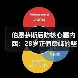伯恩茅斯后防核心塞内西:28岁正值巅峰的坚实屏障(图4) 伯恩茅斯后防核心塞内西:28岁正值巅峰的坚实屏障(图4)