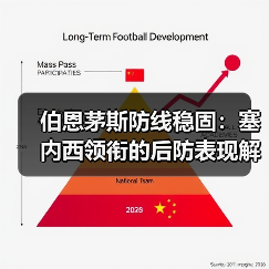 伯恩茅斯防线稳固:塞内西领衔的后防表现解析(图3) 伯恩茅斯防线稳固:塞内西领衔的后防表现解析(图3)