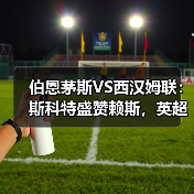 伯恩茅斯VS西汉姆联:斯科特盛赞赖斯,英超强强对话背后的故事(图4) 伯恩茅斯VS西汉姆联:斯科特盛赞赖斯,英超强强对话背后的故事(图4)