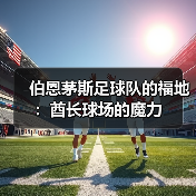 伯恩茅斯足球队的福地:酋长球场的魔力(图2) 伯恩茅斯足球队的福地:酋长球场的魔力(图2)