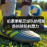 伯恩茅斯足球队的福地:酋长球场的魔力(图4) 伯恩茅斯足球队的福地:酋长球场的魔力(图4)