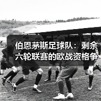伯恩茅斯足球队:剩余六轮联赛的欧战资格争夺战(图2) 伯恩茅斯足球队:剩余六轮联赛的欧战资格争夺战(图2)