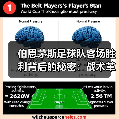 伯恩茅斯足球队客场胜利背后的秘密:战术革新与团队凝聚力(图3) 伯恩茅斯足球队客场胜利背后的秘密:战术革新与团队凝聚力(图3)