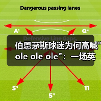 伯恩茅斯球迷为何高喊"ole ole ole":一场英超激情的体现(图3) 伯恩茅斯球迷为何高喊"ole ole ole":一场英超激情的体现(图3)