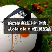 伯恩茅斯球迷的激情:从ole ole ole到英超的梦想(图4) 伯恩茅斯球迷的激情:从ole ole ole到英超的梦想(图4)