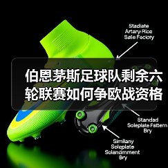 伯恩茅斯足球队剩余六轮联赛如何争欧战资格:战术与阵容深度解析(图3) 伯恩茅斯足球队剩余六轮联赛如何争欧战资格:战术与阵容深度解析(图3)