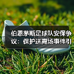 伯恩茅斯足球队安保争议:保护送离场事件引发赛后热议(图4) 伯恩茅斯足球队安保争议:保护送离场事件引发赛后热议(图4)