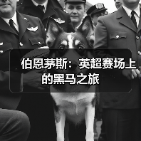 伯恩茅斯:英超赛场上的黑马之旅(图3) 伯恩茅斯:英超赛场上的黑马之旅(图3)