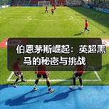 伯恩茅斯崛起:英超黑马的秘密与挑战(图2) 伯恩茅斯崛起:英超黑马的秘密与挑战(图2)