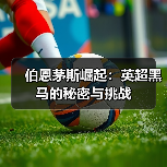伯恩茅斯崛起:英超黑马的秘密与挑战(图4) 伯恩茅斯崛起:英超黑马的秘密与挑战(图4)
