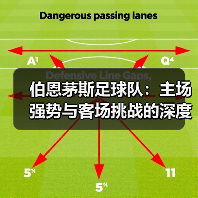 伯恩茅斯足球队:主场强势与客场挑战的深度剖析(图2) 伯恩茅斯足球队:主场强势与客场挑战的深度剖析(图2)