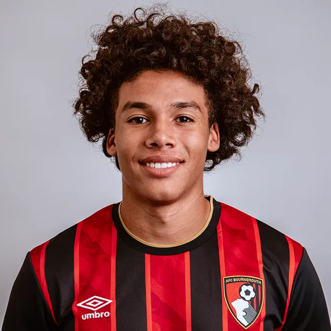 雷米・里斯 - 多廷